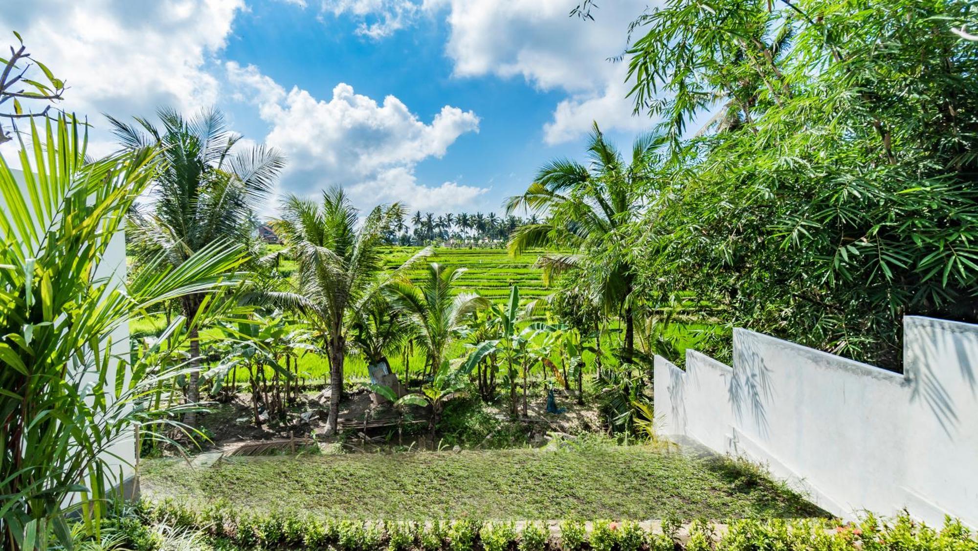Padi Luwih Villa Ubud Exteriör bild